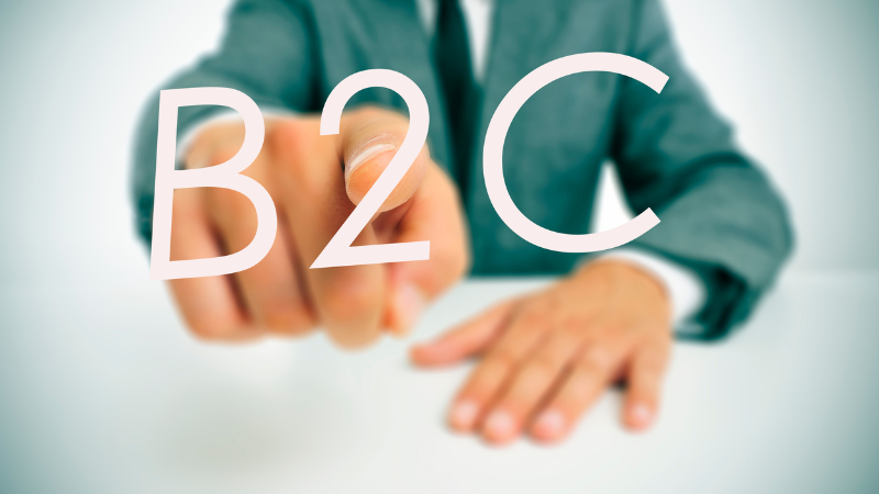 Diferencias entre b2c y b2b