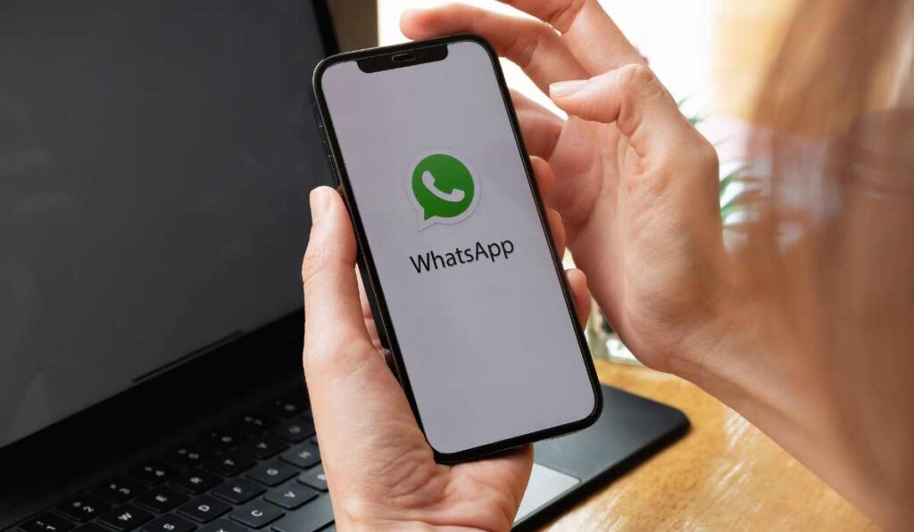 Hacer catálogo WhatsApp