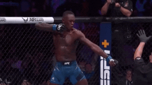 Qué es la factibilidad