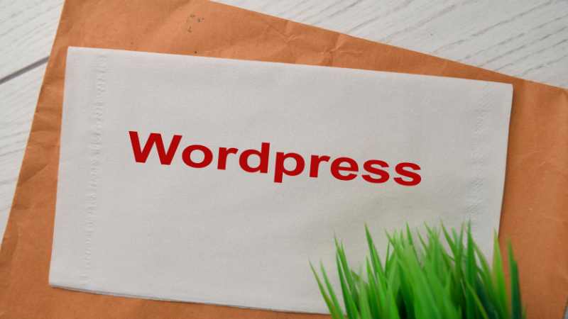 Vulnerabilidades de WordPress