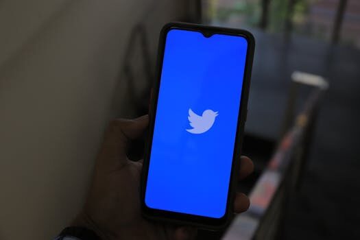 ¿Cuáles Son Las Mejores Apps Para Eliminar Tweets?