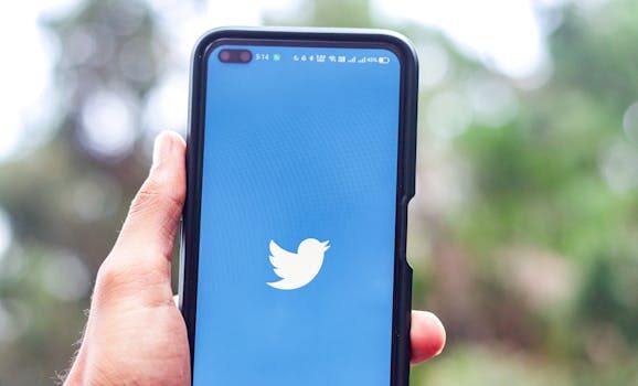 ¿Cómo eliminar los tweets de una sola vez?