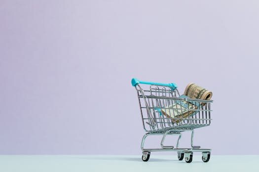 ¿Cómo funciona el carrito de compras?