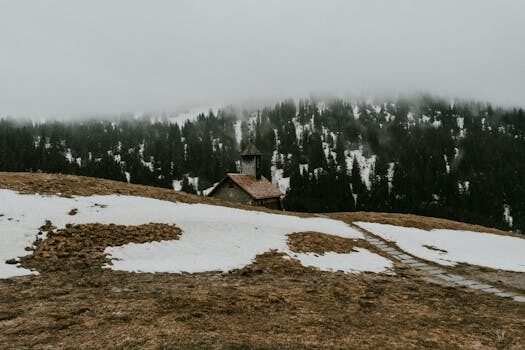 Cuáles son los mejores servidores DNS