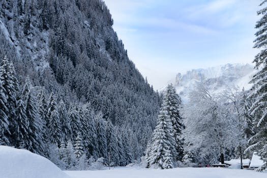 ¿Cómo crear fotos de portada bonitas de paisajes?