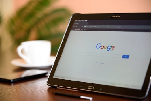 ¿Es Google Primer adecuado para todos los niveles?