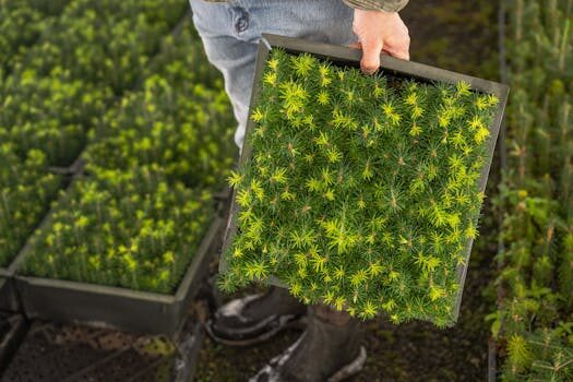 ¿Cuáles son los 7 indicadores de calidad?