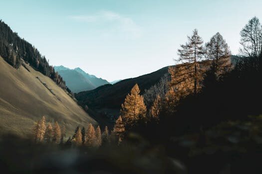 ¿Qué es el merchandising estacional?