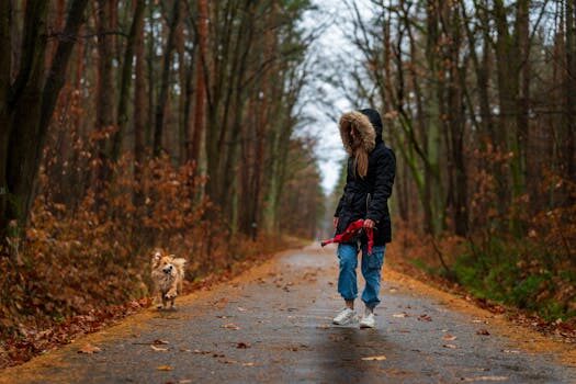 ¿Cuáles son las dimensiones de la mezcla de productos?