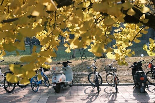 ¿Cuáles son las ventajas del mobile marketing?