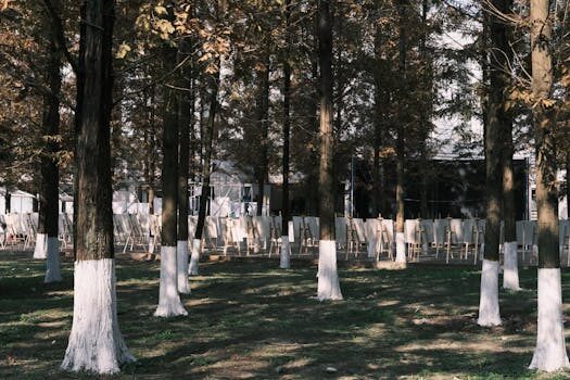 ¿Qué es el modelo Canvas y para qué sirve?