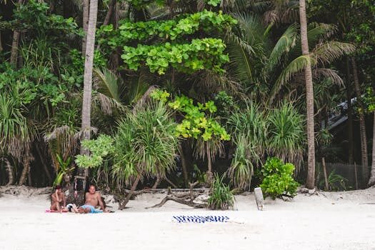 ¿Cómo quitar el acceso denegado a una página web?