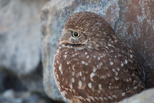 ¿Cómo hacer un nombre llamativo?