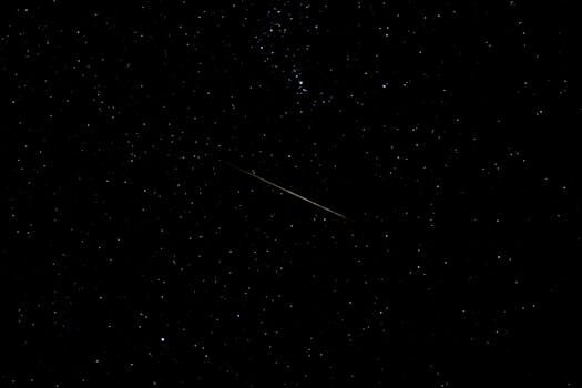 ¿Cuáles son los ecosistemas más importantes de nuestro planeta?