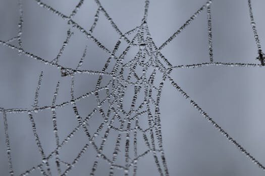 ¿Cuáles son las mejores técnicas para optimizar tu página web?