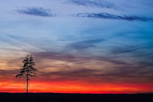 Cómo mantener la comunicación efectiva en un organigrama horizontal