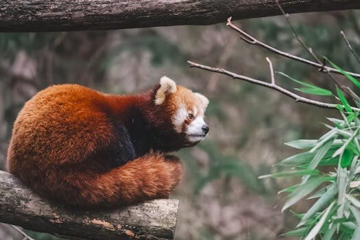 ¿Qué es el modelo horizontal?