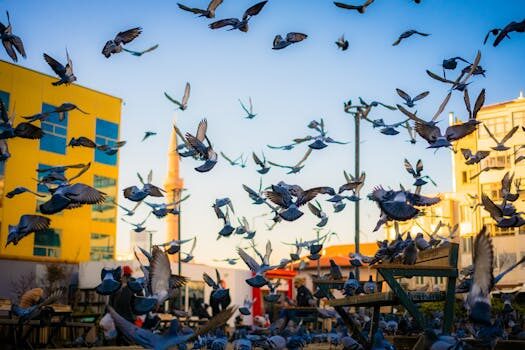 ¿Cómo se calcula la tasa de penetración de mercado?