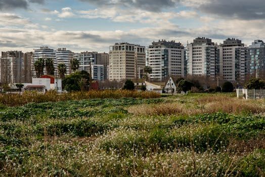 ¿Qué es un plan financiero?