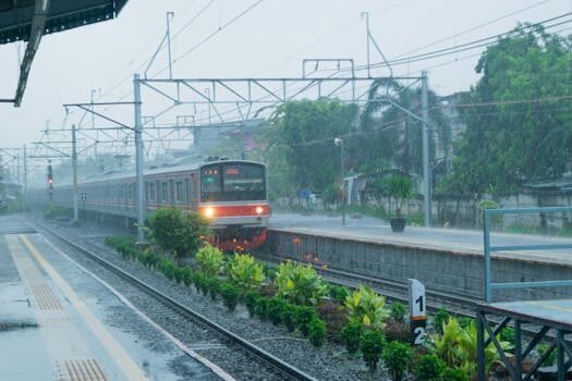 ¿Cuáles son las plataformas de comercio electrónico más populares?