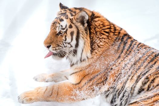 Ventajas y desventajas del big data: un análisis completo