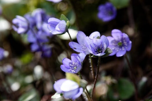 ¿Cómo mejorar el clima organizacional en tu empresa?
