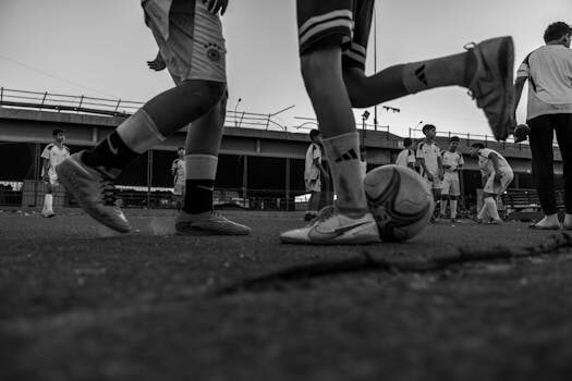 ¿Cuáles son las principales funciones de un community manager?