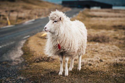 ¿Cómo realizar un control de inventarios?