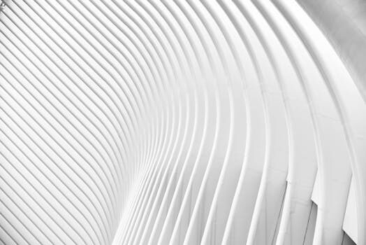 Tipos de diseño: ¿cuáles son las diferentes ramas del diseño?