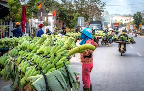 ¿Por qué es importante tener un estado de resultados?