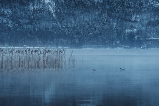 que es pixel de facebook 1